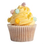 Cukrové květiny pastelové PME (25 g)