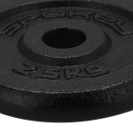 Litinové závaží 2,5 kg Spokey Sinis SPK-944483 2,5 kg