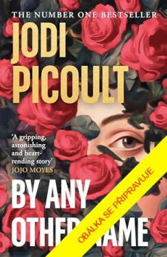 Pod jiným jménem - Jodi Picoult
