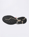 Salomon XT-WHISPER Almilk/Ftw Silver/Lava F 42 2/3