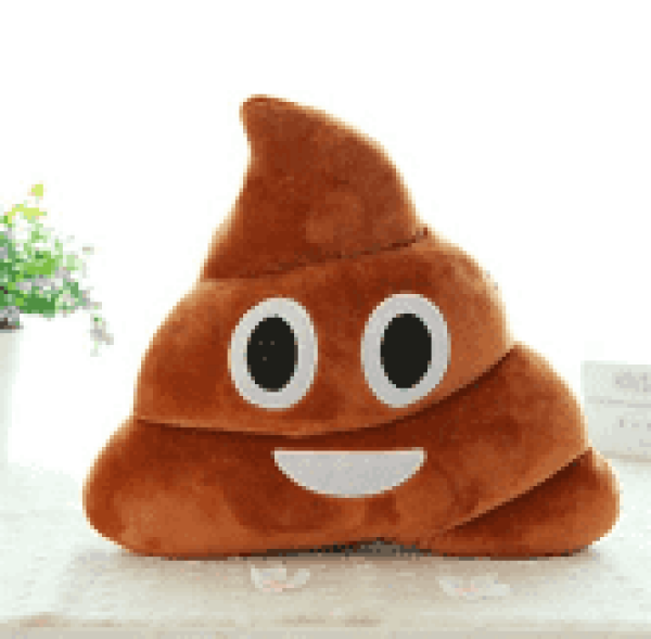 Gadgets Polštář - hovno 31cm