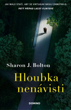 Hloubka nenávisti - Sharon J. Bolton - e-kniha