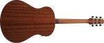 Ibanez AAM100E Natural