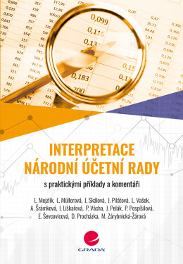 Interpretace Národní účetní rady Jana Skálová