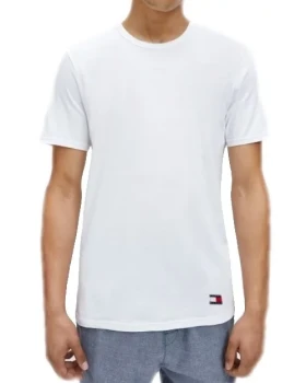 Pánské triko Tommy Hilfiger UM0UM03157 - 2 kusy