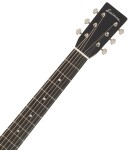 Eastman E6D-TC