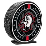 Mustang MEGA puk Buffalo Sabres NHL Goathead Ribbon