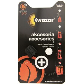 Kwazar tryska s maticí