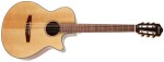 Ibanez AEG50N Natural