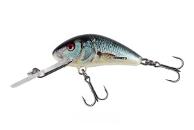 Salmo Wobler Hornet Sinking Real Dace,Salmo Wobler Hornet Sinking Real Dace