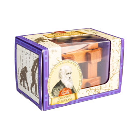 Dřevěný hlavolam Great Minds - Darwin - Albi
