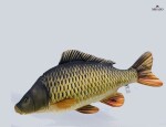Gaby Polštář Kapr šupináč 64 cm,Gaby Polštář Kapr šupináč 64 cm