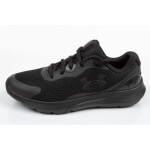 Dámské oblečení Under Armour 3024989-002