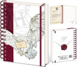 Harry Potter Zápisník kroužkový A5 Special Delivery - EPEE