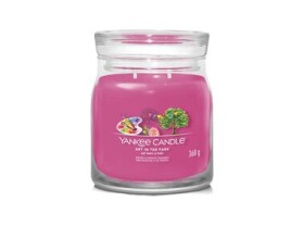 Yankee Candle Signature ART IN THE PARK 368 g