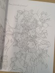 Fairy Oak, antistresové omalovánky, Paolo Pigna