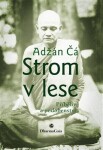 Strom lese Adžán Čá