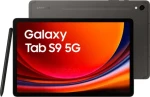 Samsung Galaxy Tab S9 5G SM-X716BZAAEUE