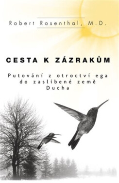 Cesta zázrakům