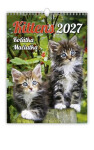 Kalendář nástěnný 2027 - Kittens/Koťátka/Mačičky