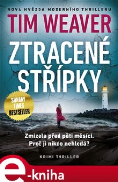 Ztracené střípky