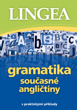 Gramatika současné angličtiny