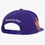 Mitchell & Ness Pánská kšiltovka Los Angeles Lakers NBA Conference Patch Snapback