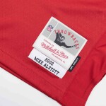 Mitchell & Ness Pánský dres Tampa Bay Buccaneers NFL Mike Alstott #40 2002 Legacy Throwback Velikost: 2XL