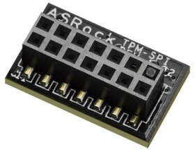 ASRock TPM-SPI