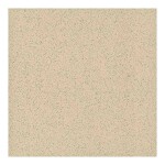 Technická dlažba SDR beige 30,5/30,5