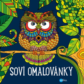 Soví omalovánky - Julie Bezděková