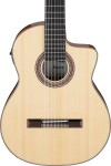 Ibanez GA3007CE NT