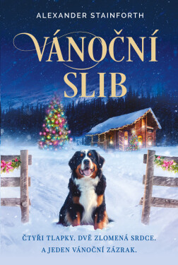 Vánoční slib - Alexander Stainforth