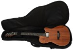 Godin A 6 ULTRA Extreme Koa HG
