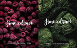 Jíme zdravě po celý rok * Jaro * Léto * Podzim * Zima - Kolektiv autorú