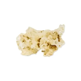 Rataj Akvarijní kámen Tanganika S / Dekorace / 5-15 cm / do 1 kg / béžová (7881-361)