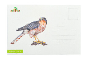 Puzzle do kapsy - Krahujec