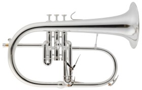 VanLaar BR2 Silver