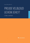 Projde velbloud uchem jehly? Církev a bohatí - Jana Maryšková