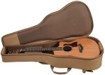 Taylor 24ce
