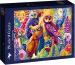 BLUEBIRD Puzzle Soví samospráva