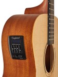 Tanglewood TR 3 E