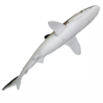 Safari Ltd. Safari Ltd. Figurka - Žralok hedvábný