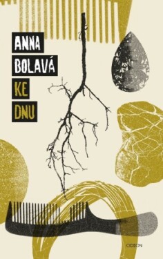 Ke dnu - Anna Bolavá - e-kniha