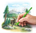 Staedtler Staedtler, 146C C72, Design Journey, sada uměleckých pastelek, 72 ks