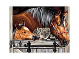 Diamantové malování Koně kočkou 30x40cm