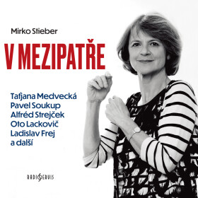 V mezipatře - Stieber Mirko - audiokniha