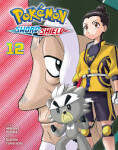Pokemon: Sword & Shield, Vol. 12 - Hidenori Kusaka