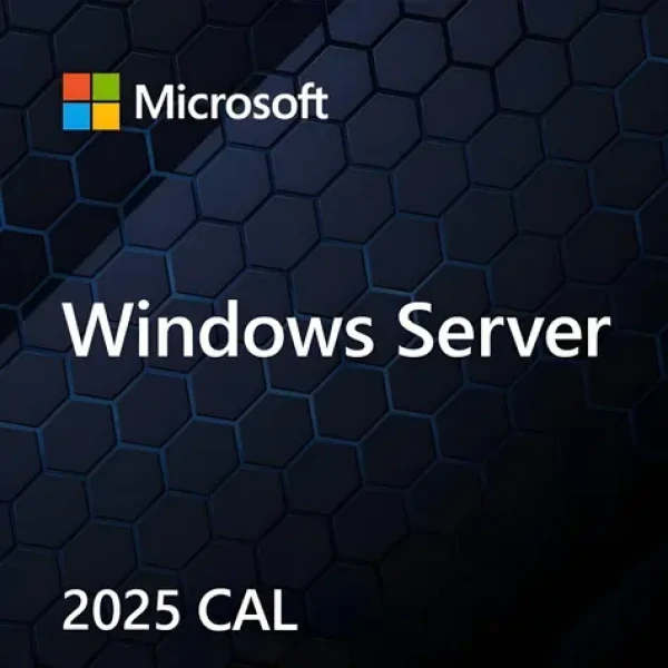 MS Windows Server CAL 2025 / Přístupová licence / 1 CAL (EP2-25286)