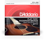 D'Addario EFT17 - Medium - .013 - .056